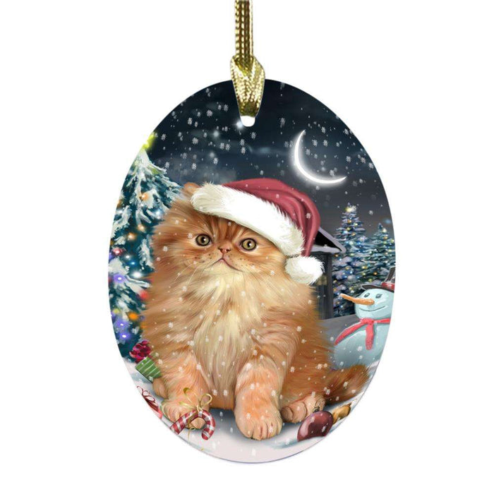 Have a Holly Jolly Christmas Happy Holidays Persian Cat Oval Glass Christmas Ornament OGOR48187