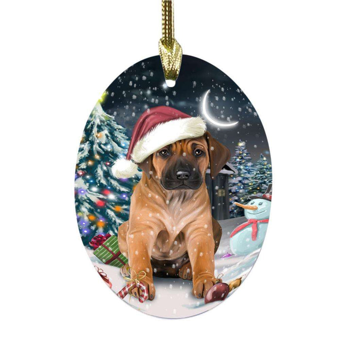 Have a Holly Jolly Christmas Happy Holidays Rhodesian Ridgeback Dog Oval Glass Christmas Ornament OGOR48206