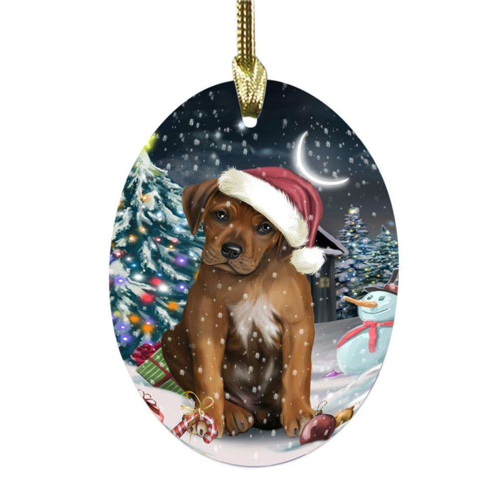 Have a Holly Jolly Christmas Happy Holidays Rhodesian Ridgeback Dog Oval Glass Christmas Ornament OGOR48207