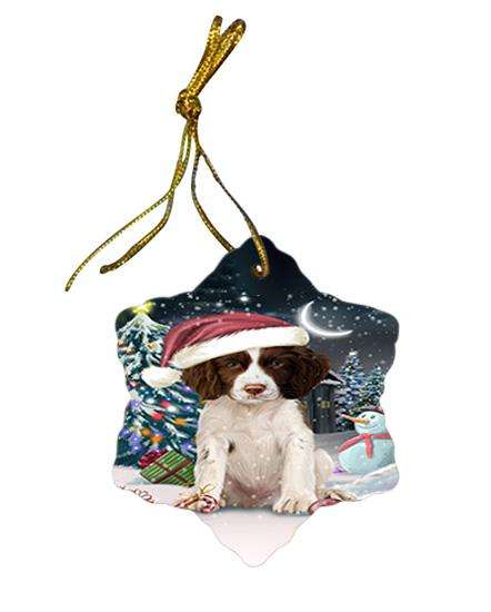 Have a Holly Jolly Christmas Happy Holidays Springer Spaniel Dog Star Porcelain Ornament SPOR54246