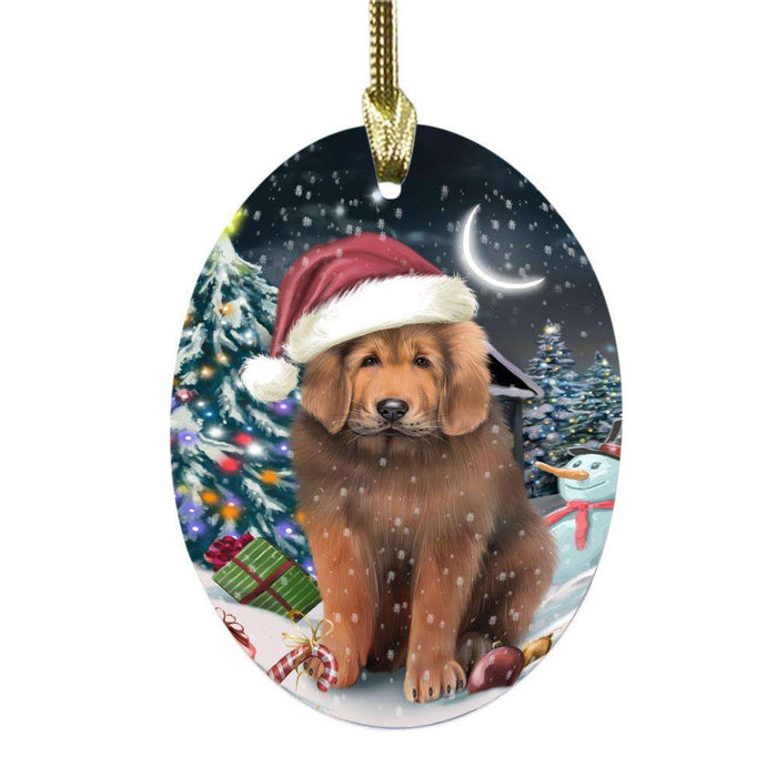 Have a Holly Jolly Christmas Happy Holidays Tibetan Mastiff Dog Oval Glass Christmas Ornament OGOR48330