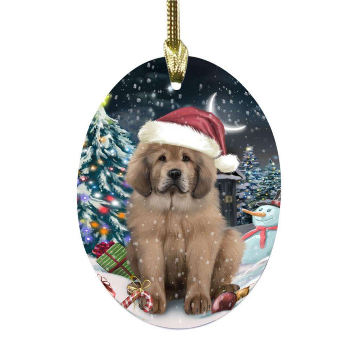 Have a Holly Jolly Christmas Happy Holidays Tibetan Mastiff Dog Oval Glass Christmas Ornament OGOR48331