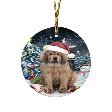 Have a Holly Jolly Christmas Happy Holidays Tibetan Mastiff Dog Round Flat Christmas Ornament RFPOR54251