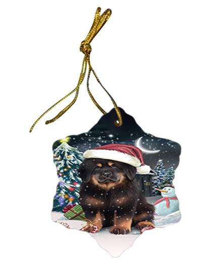 Have a Holly Jolly Christmas Happy Holidays Tibetan Mastiff Dog Star Porcelain Ornament SPOR54248