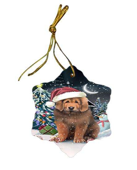 Have a Holly Jolly Christmas Happy Holidays Tibetan Mastiff Dog Star Porcelain Ornament SPOR54250