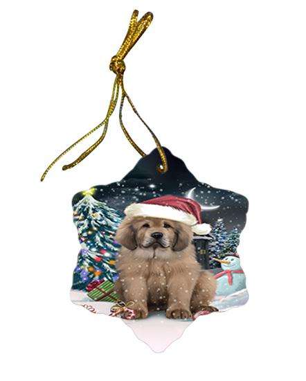 Have a Holly Jolly Christmas Happy Holidays Tibetan Mastiff Dog Star Porcelain Ornament SPOR54251