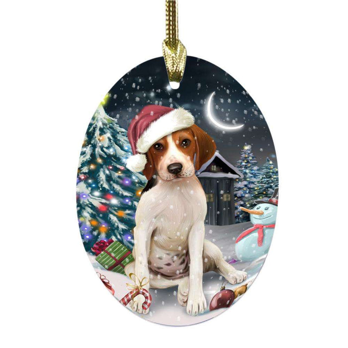 Have a Holly Jolly Christmas Happy Holidays Treeing Walker Coonhound Dog Oval Glass Christmas Ornament OGOR48245