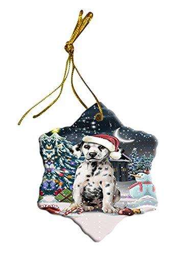 Have a Holly Jolly Dalmatian Dog Christmas Star Ornament POR2542