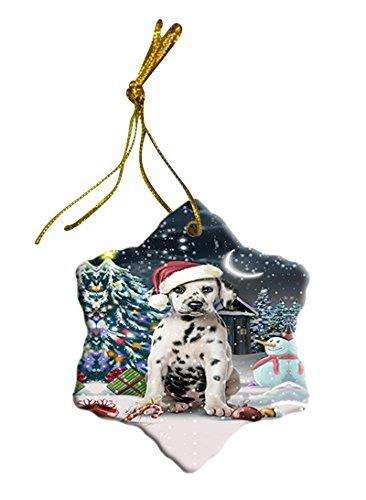 Have a Holly Jolly Dalmatian Dog Christmas Star Ornament POR2544