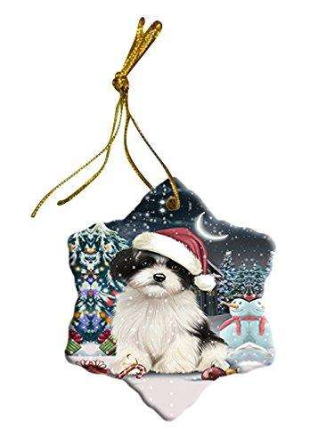 Have a Holly Jolly Havanese Dog Christmas Star Ornament POR2419