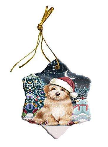 Have a Holly Jolly Havanese Dog Christmas Star Ornament POR2420