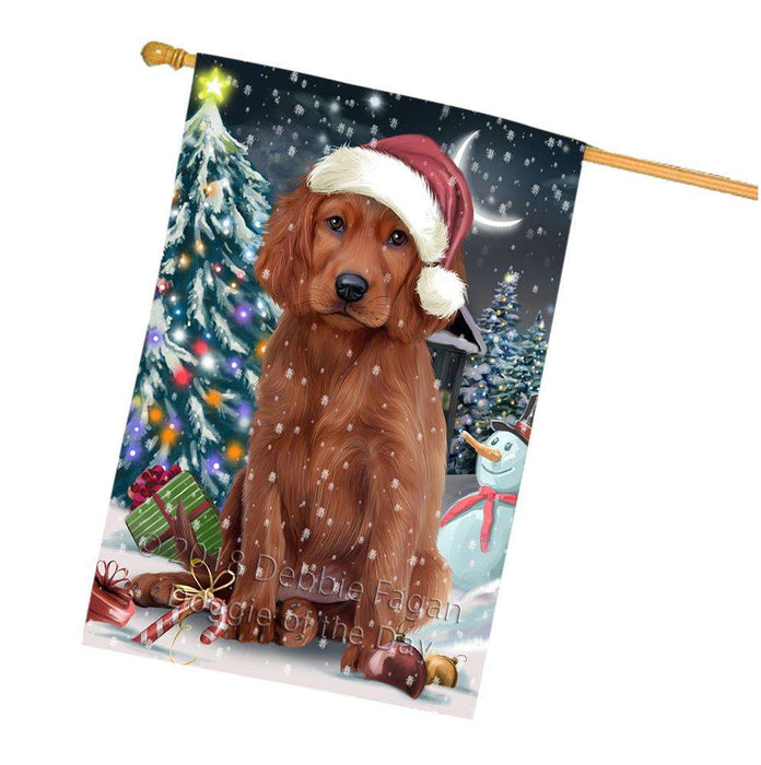 Have a Holly Jolly Irish Setter Dog Christmas  House Flag FLG51795