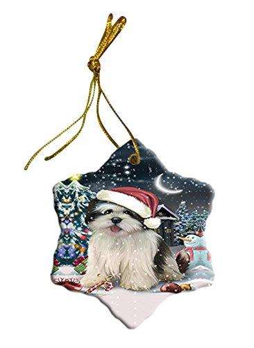 Have a Holly Jolly Lhasa Apso Dog Christmas Star Ornament POR2545