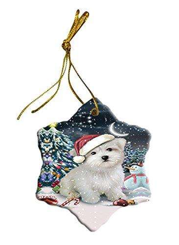Have a Holly Jolly Maltese Dog Christmas Star Ornament POR2549