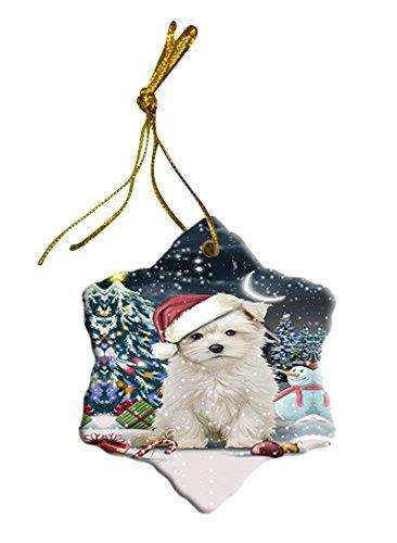 Have a Holly Jolly Maltese Dog Christmas Star Ornament POR2550