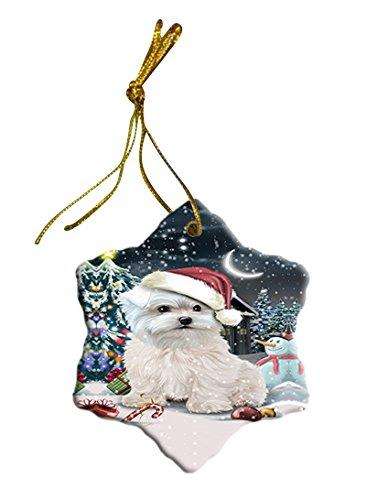 Have a Holly Jolly Maltese Dog Christmas Star Ornament POR2551
