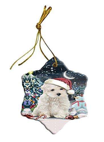 Have a Holly Jolly Maltese Dog Christmas Star Ornament POR2552