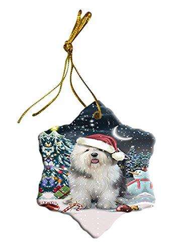 Have a Holly Jolly Old English Sheepdog Christmas Star Ornament POR2556