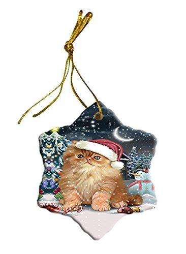 Have a Holly Jolly Persian Cat Christmas Star Ornament POR2564