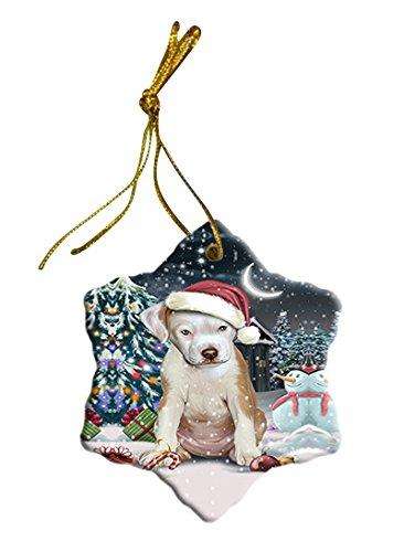 Have a Holly Jolly Pit Bull Dog Christmas Star Ornament POR2425