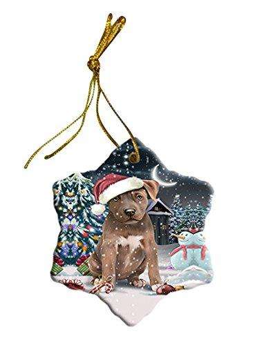 Have a Holly Jolly Pit Bull Dog Christmas Star Ornament POR2428