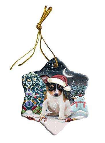Have a Holly Jolly Rat Terrier Dog Christmas Star Ornament POR2517