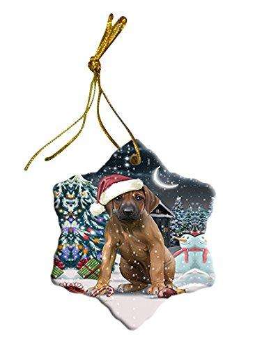 Have a Holly Jolly Rhodesian Ridgeback Dog Christmas Star Ornament POR2434