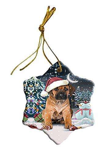 Have a Holly Jolly Rhodesian Ridgeback Dog Christmas Star Ornament POR2435