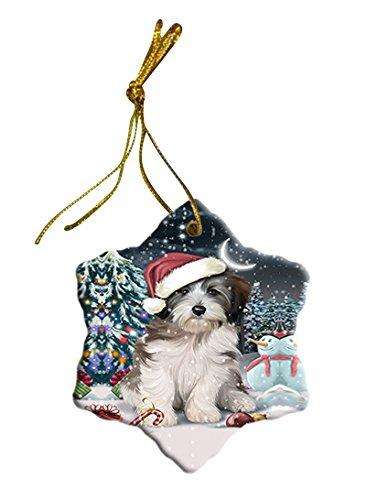 Have a Holly Jolly Tibetan Terrier Dog Christmas Star Ornament POR2447