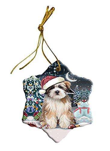 Have a Holly Jolly Tibetan Terrier Dog Christmas Star Ornament POR2448