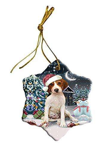 Have a Holly Jolly Treeing Walker Coonhound Dog Christmas Star Ornament POR2530
