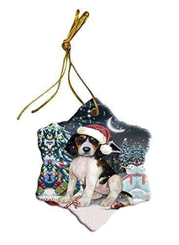 Have a Holly Jolly Treeing Walker Coonhound Dog Christmas Star Ornament POR2531