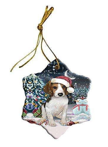 Have a Holly Jolly Treeing Walker Coonhound Dog Christmas Star Ornament POR2532