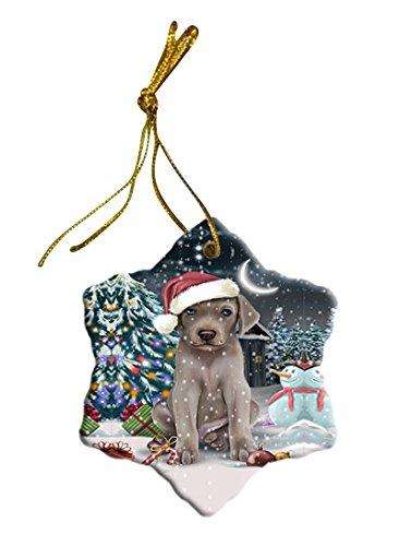 Have a Holly Jolly Weimaraner Dog Christmas Star Ornament POR2536