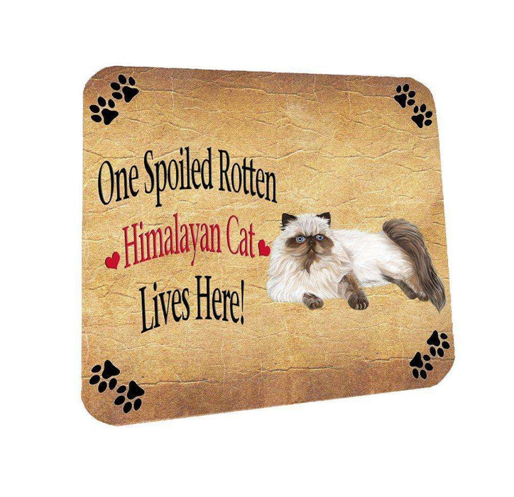 Himalayan Spoiled Rotten Cat Coasters Set of 4