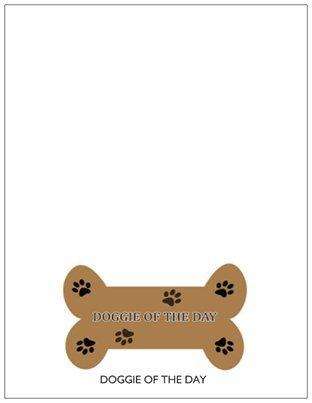 Home of 4 American Eskimo Dogs Playing Poker Handmade Artwork Assorted Pets Greeting Cards and Note Cards with Envelopes for All Occasions and Holiday Seasons (20)