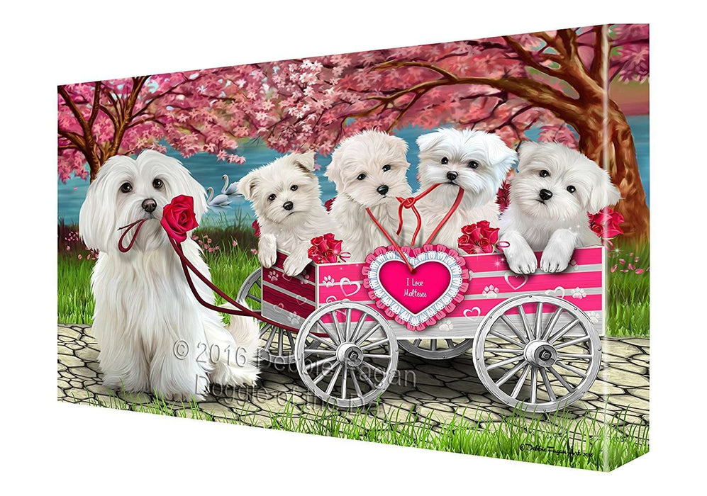I Love Maltese Dogs in a Cart Canvas Wall Art