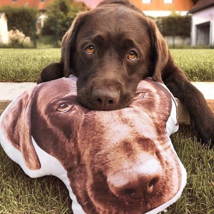 Custom Pet Photo Pillow, Personalized Cute Dog and Cat Shaped Pillow, Pet Memorial, Customized Gift for Pet Lovers
