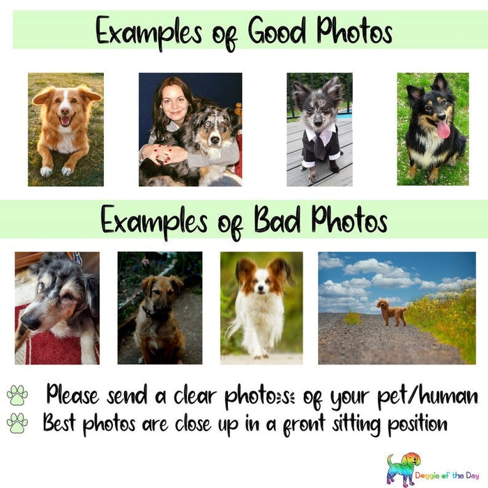 Customized Oven Mitts, Cute Dog and Cat Photo on Custom Pot Holders, Personalized Pet Lovers Kitchen Accessory Gift for Dad and Mom