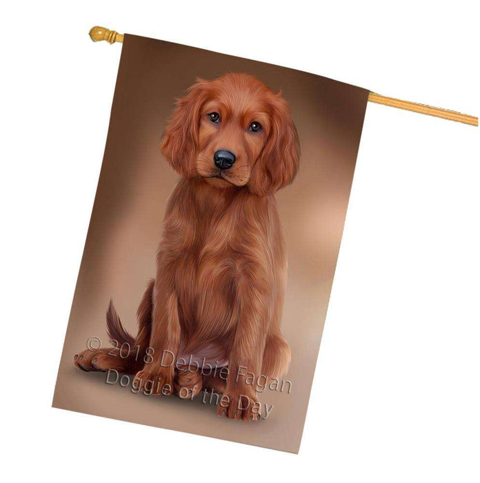 Irish Setter Dog House Flag FLG52938