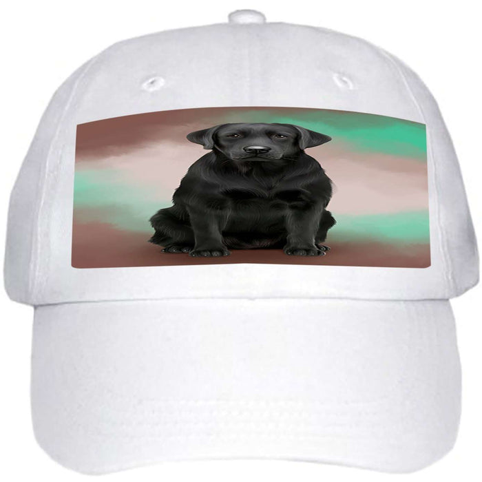 Labrador Retriever Dog Ball Hat Cap HAT48699