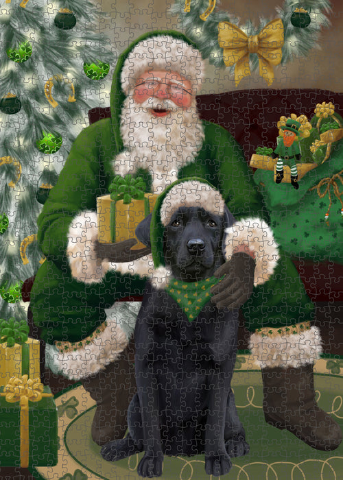 Christmas Irish Santa with Gift and Labrador Dog Puzzle with Photo Tin PUZL100452