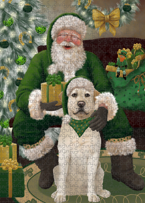Christmas Irish Santa with Gift and Labrador Dog Puzzle with Photo Tin PUZL100456