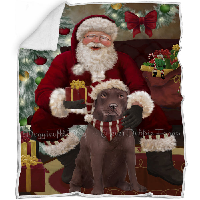 Santa's Christmas Surprise Labrador Dog Blanket BLNKT142278