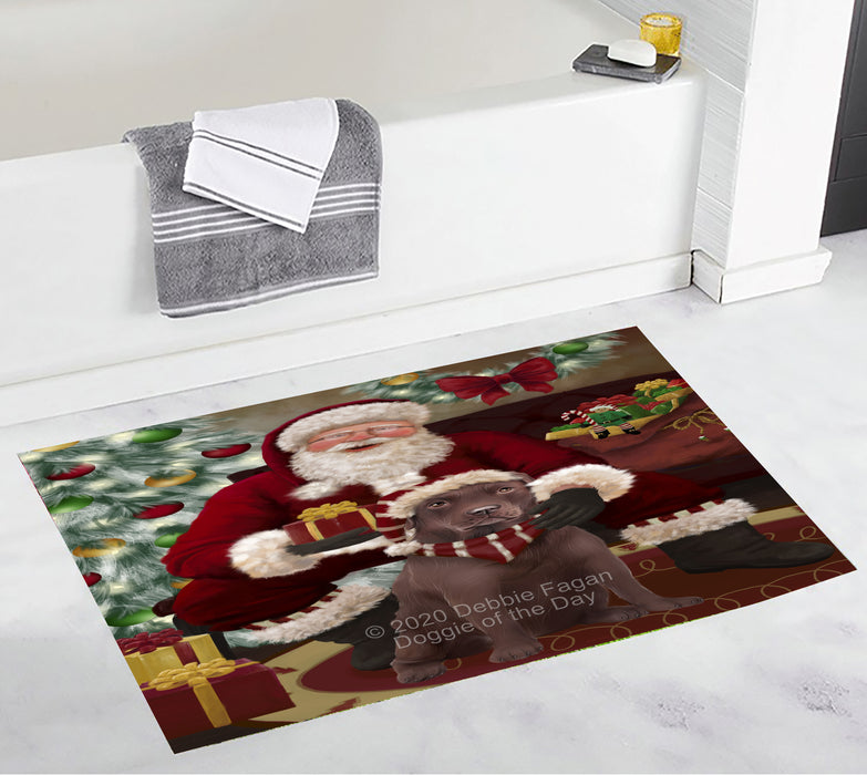 Santa's Christmas Surprise Labrador Dog Bathroom Rugs with Non Slip Soft Bath Mat for Tub BRUG55525