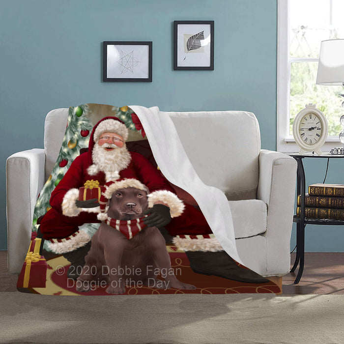 Santa's Christmas Surprise Labrador Dog Blanket BLNKT142278