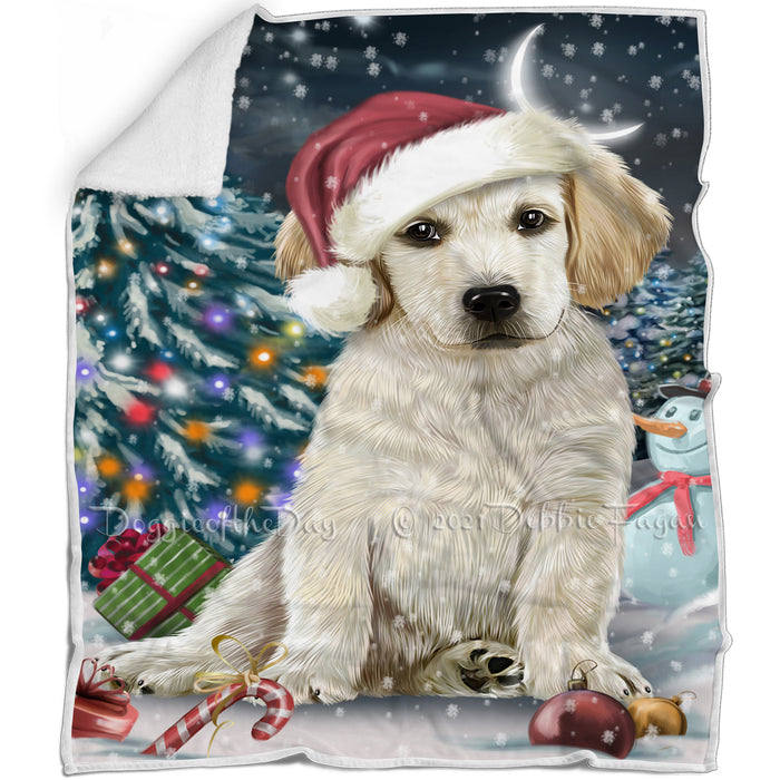 Have a Holly Jolly Christmas Labrador Dog in Holiday Background Blanket D081