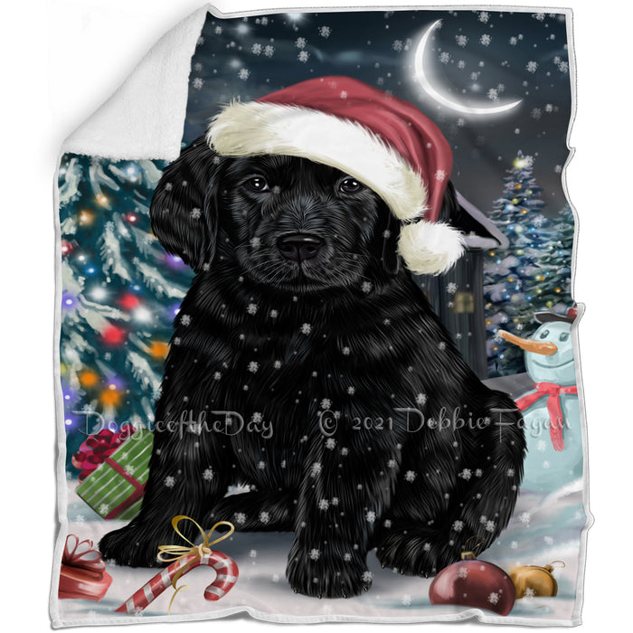 Have a Holly Jolly Christmas Labrador Dog in Holiday Background Blanket D084
