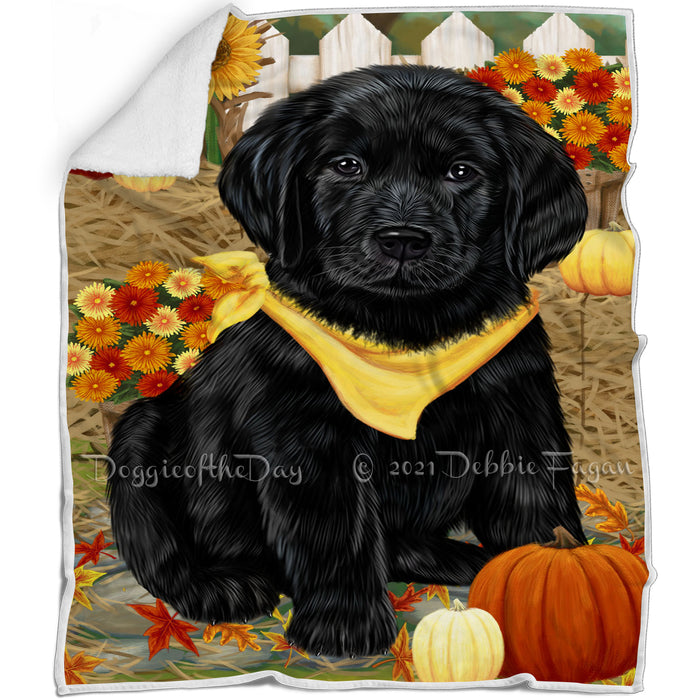 Fall Autumn Greeting Labrador Retriever Dog with Pumpkins Blanket BLNKT73011