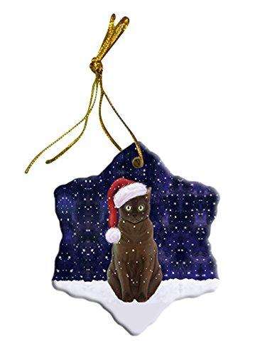 Let It Snow American Bernese Zibeline Dog Christmas Star Ornament POR2636